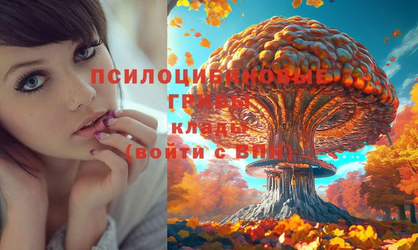 COCAINE Россошь