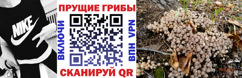 Галлюциногенные грибы GOLDEN TEACHER Энем