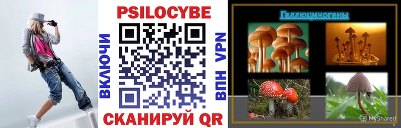 Галлюциногенные грибы Magic Shrooms  Купить где  Энем 